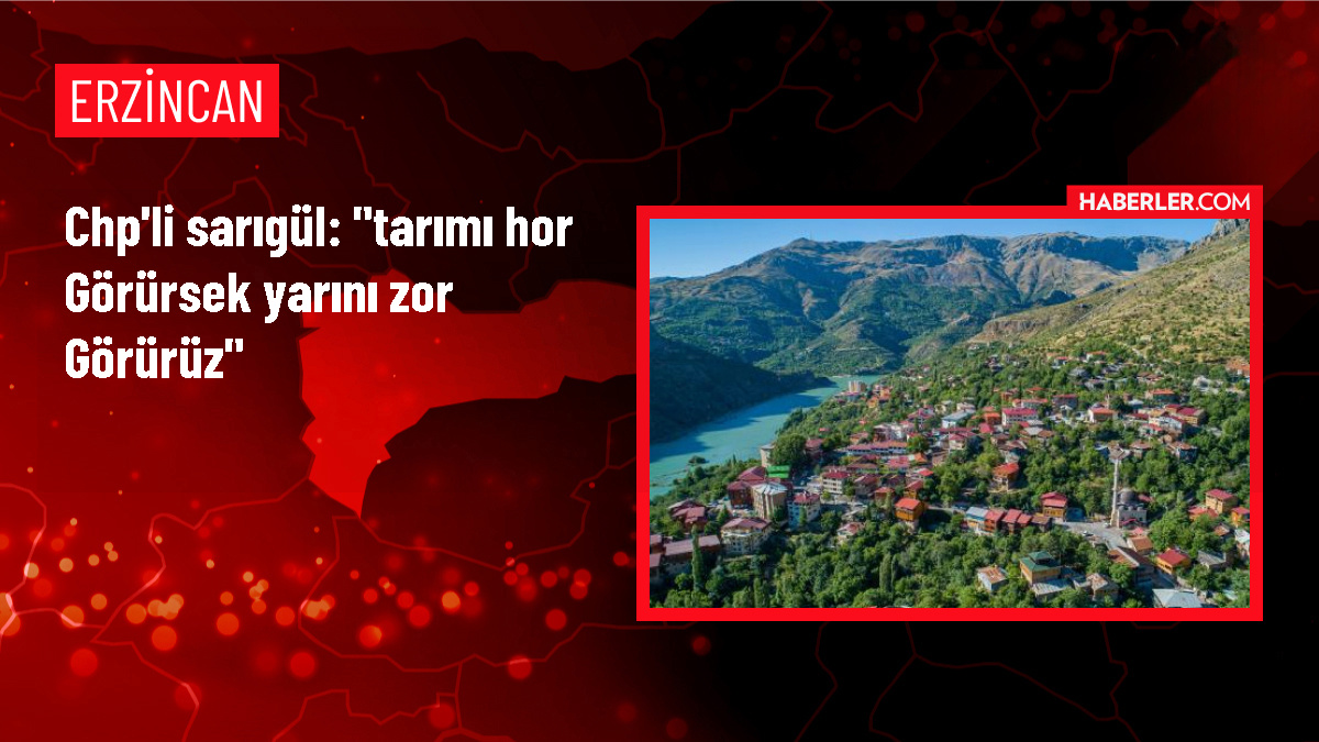 CHP Milletvekili Mustafa Sarıgül: Tarımı hor görürsek yarını zor görürüz