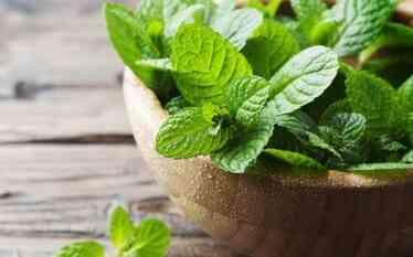 Hafızayı güçlendiren kokular neler? Hangi koku unutkanlığa iyi gelir? Hafızayı güçlendiren kokular neler? Hangi koku unutkanlığa iyi gelir?