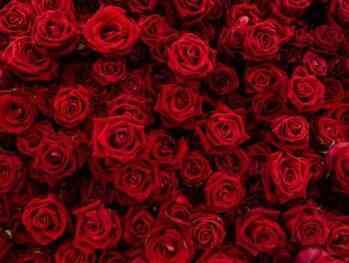 Hafızayı güçlendiren kokular neler? Hangi koku unutkanlığa iyi gelir? Hafızayı güçlendiren kokular neler? Hangi koku unutkanlığa iyi gelir?