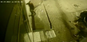 İzmit'te sokak ortasında cinayet: Sanık mermisi bitince silahın kabzasıyla vurdu