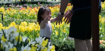 Singapur'da Tulipmania Çiçek Sergisi Açıldı