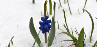 Kars'ta Kar Yağışı ve Soğuk Hava Etkili Oldu