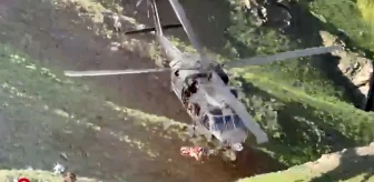 Van'da ot toplarken kayalıklardan düşen şahıs jandarma helikopteriyle kurtarıldı