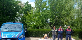 Eskişehir'de Çalınan Su Motoru İçin 2 Şüpheli Gözaltına Alındı