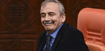 Sırrı Süreyya Önder Meclis'te cezaevi anısını anlattı