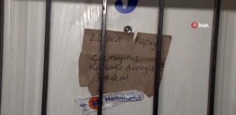 Kadıköy'de ihmalkar hayvan sahibine vatandaşlardan tepki