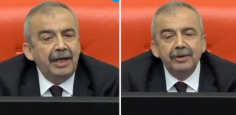 Sırrı Süreyya Önder, kendisine parmak sallayan AK Partiliye böyle seslendi