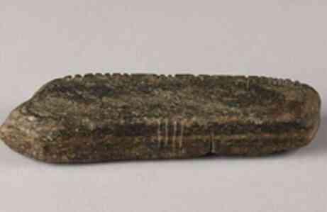 İngiltere'de bir bahçede bulunan 1600 yıllık gizemli İrlanda taşı, uzmanları şaşırttı
