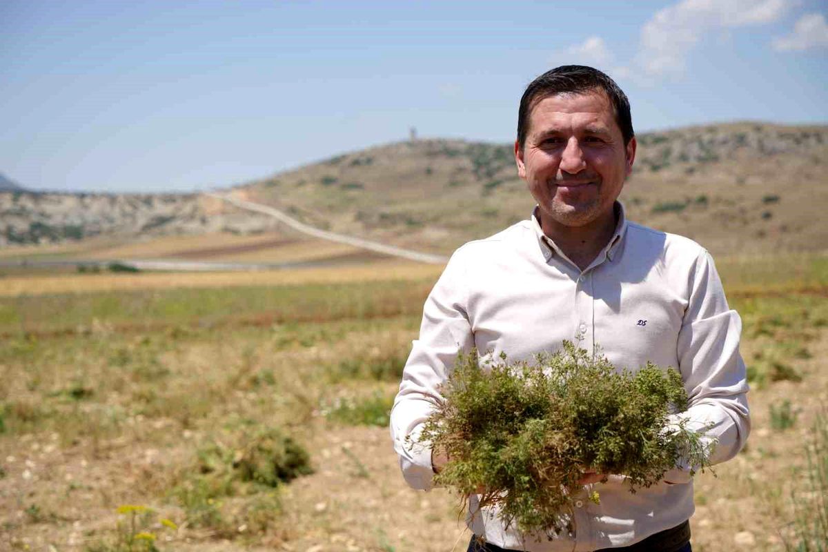 Kilis'te Kimyon Hasadı Başladı