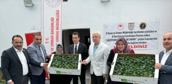 Sivas'ın Akıncılar ilçesinde çiftçilere domates ve biber fidesi dağıtıldı
