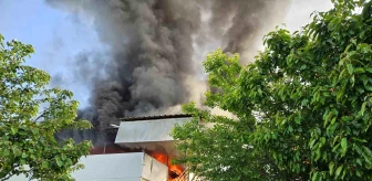 Antalya'nın Kumluca ilçesinde çıkan yangın iki evi küle döndürdü