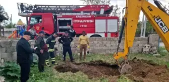 Erzincan'da kuyuya düşen inek itfaiye tarafından kurtarıldı