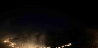 Şanlıurfa'da Ormanlık Alanda Çıkan Yangına Vatandaşlar ve Ekipler Müdahale Ediyor