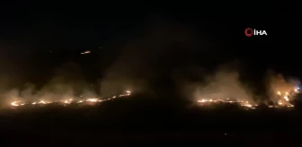 Ormanlık alanda korkutan yangın: Alevler geceyi aydınlattı