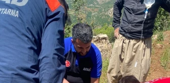 Şemdinli'de Ayı Saldırısı: Bir Kişi Yaralandı