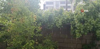 Erciş'te sağanak yağış etkili oldu