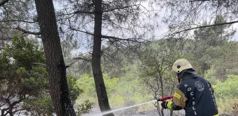 Gebze'de Ormanlık Alanda Çıkan Yangın Söndürüldü