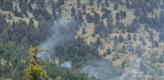 Adana'nın Saimbeyli ilçesinde çıkan orman yangını kontrol altına alındı