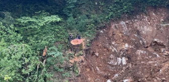 Zonguldak'ta 1183 yaşındaki porsuk ağacı kesildi