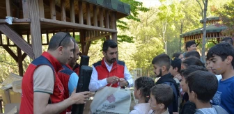 Bitlis Vakıflar Bölge Müdürlüğü Yetim ve Öksüz Çocuklara Piknik Etkinliği Düzenledi