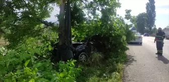 Bursa'da Kamyonetin Ağaca Çarpması Sonucu Sürücü Yaralandı