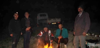 Bolu'da Çiftçiler Domuzlardan Tarlalarını Korumak İçin Nöbet Tutuyor