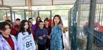 Yalova'da öğrenciler hayvan barınağında İngilizce dersi işledi