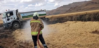 Mardin'de yangın sonucu 120 dönüm ekili buğday tarlası küle döndü