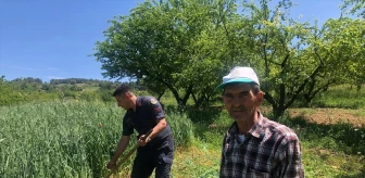 Jandarma, yaşlı çiftçiye yardım etti