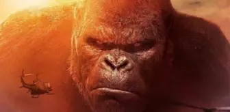 Kong: Kafatası Adası filmi oyuncuları kim? Kong: Kafatası Adası filmi konusu, oyuncuları ve Kong: Kafatası Adası özeti!