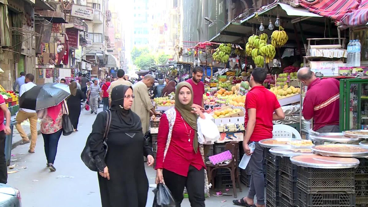 Mısır, 2023'te Tarımsal Ürün İhracatında Rekor Kırdı
