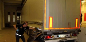 Edirne Kapıkule Sınır Kapısı'nda 370 Kilogram Esrar Ele Geçirildi