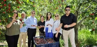 Antalya Gazipaşa Kaymakamı Orhan Altun, Doğanca Mahallesi'nde vatandaşlarla buluştu