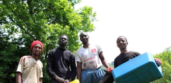 Kaçak çalıştıkları tespit edildi! Çay toplayan Senegalli işçiler sınır dışı edilecek