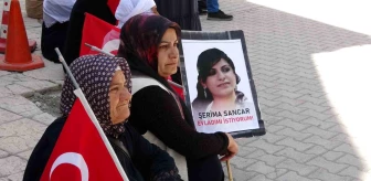 Van'da PKK tarafından kız çocuğu dağa kaçırılan anne: Selahattin Demirtaş'a verilen ceza azdır
