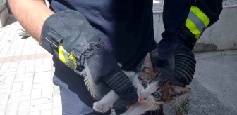 Alanya'da motosikletin içinde mahsur kalan yavru kedi kurtarıldı