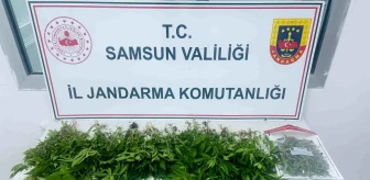 Samsun'da uyuşturucu operasyonu: 1 kişi gözaltına alındı