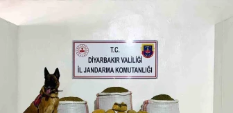 Diyarbakır'da 76 Kilo Toz Esrar Ele Geçirildi