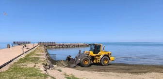 Trabzon Büyükşehir Belediyesi Plajları Temizliyor