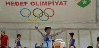 Okullar Arası Artistik Cimnastik Türkiye Birinciliği Bolu'da Başladı