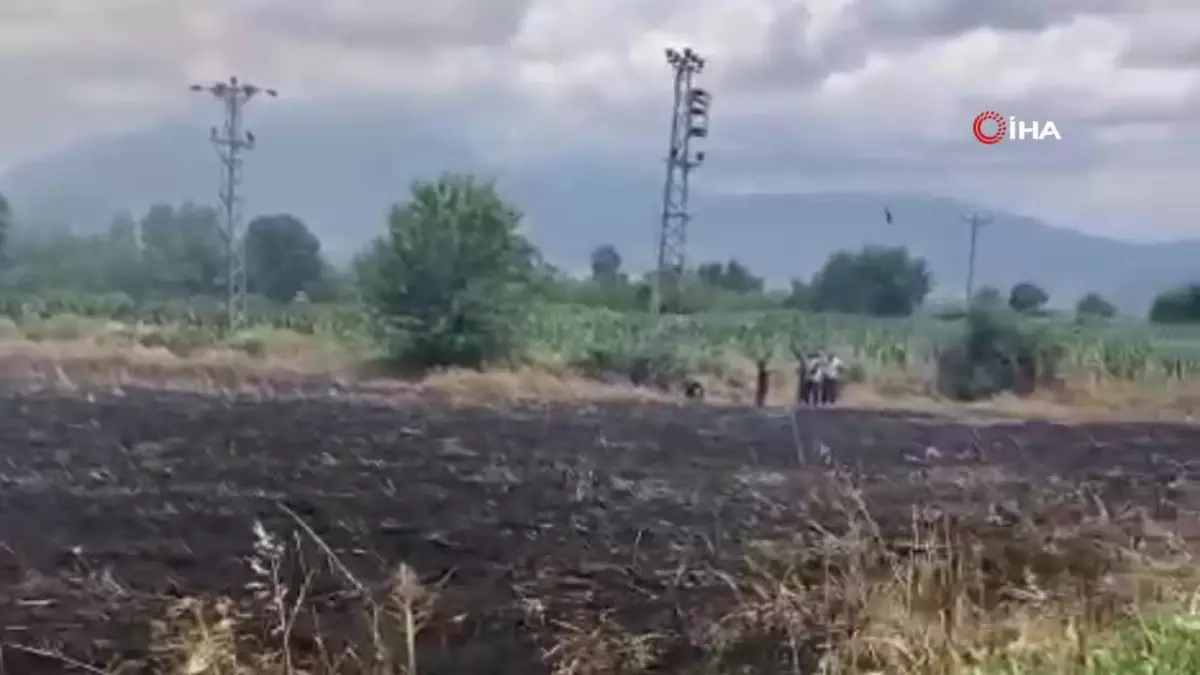 Osmaniye'de Buğday Tarlasında Yangın Çıktı