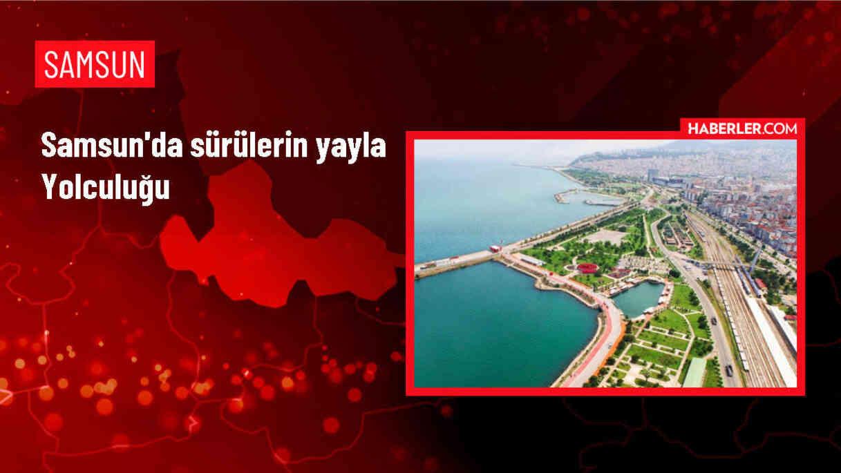Karadeniz'de Sürü Sahipleri Yaylalara Çıkmaya Başladı
