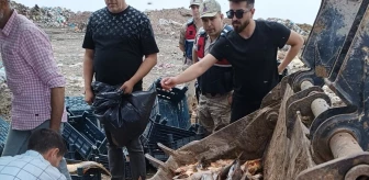 Siverek'te av yasağı döneminde yakalanan 2 ton balık ele geçirildi