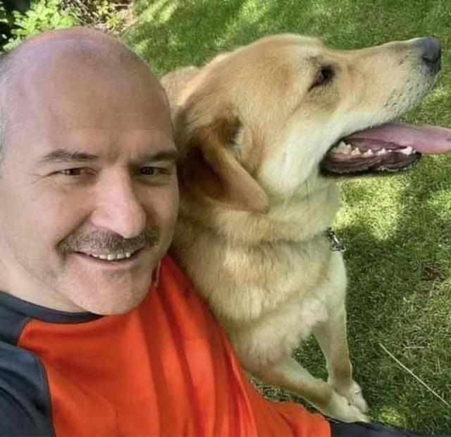 Başıboş köpeklerin uyutulması fikrine Soylu da karşı çıktı: Gönlüm razı değil