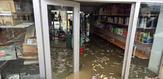 Gürcistan'da Şiddetli Yağışlar Sonucu Sel Felaketi