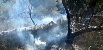 Çanakkale'de Tarım Arazisinde Başlayan Yangın Kontrol Altına Alındı