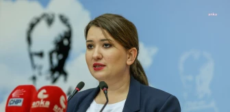 CHP Genel Başkan Yardımcısı Gökçe Gökçen'den Anayasa Açıklaması