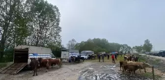 Eflani'de Kurban Bayramı'na sayılı günler kala hayvan pazarlarında hareketlilik devam ediyor