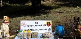 Giresun'da Terör Örgütüne Ait Mühimmat ve Malzemeler Ele Geçirildi