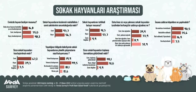 Sokak hayvanlarıyla ilgili çarpıcı anket! Üç kişiden ikisi 'Çözüm kısırlaştırma' diyor